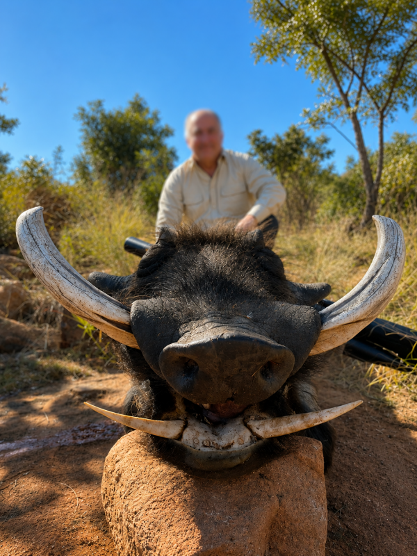 African safari hunting memory